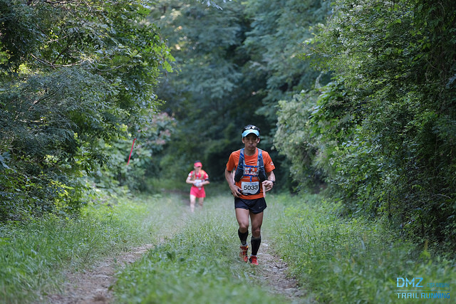 Trail runners running through a forest