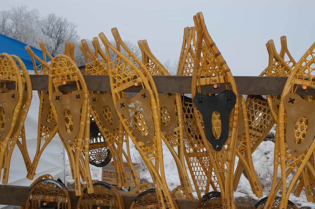 snowshoes work in sand