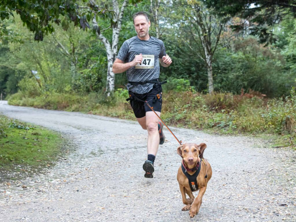 Running With a Dog That Pulls
