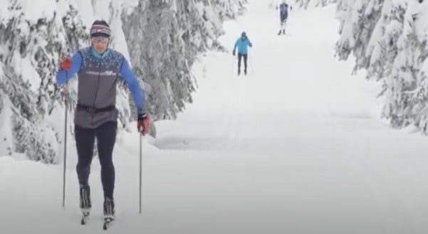 cross country skier using their upper body