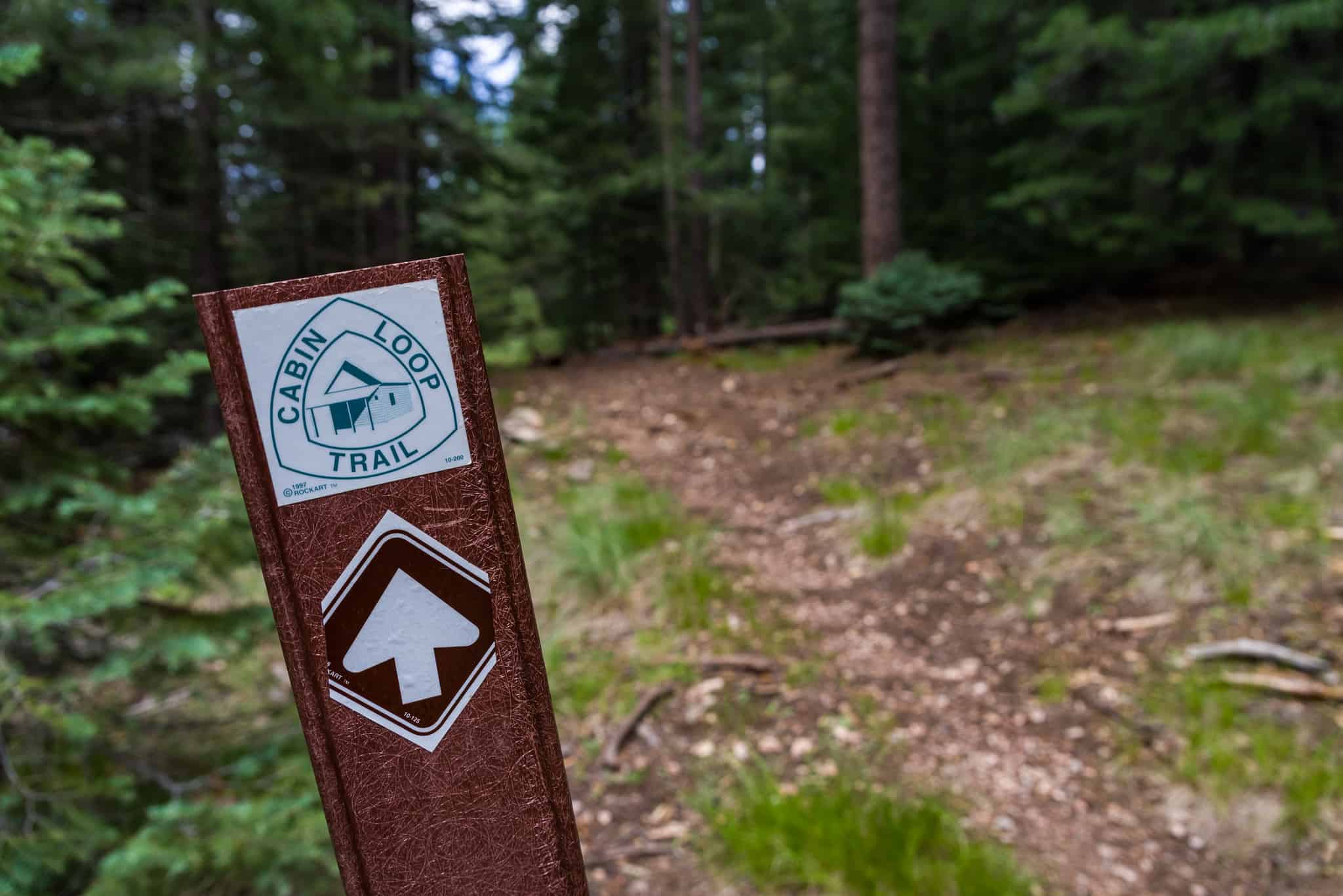 A trail marker begins a trail into the forest.
