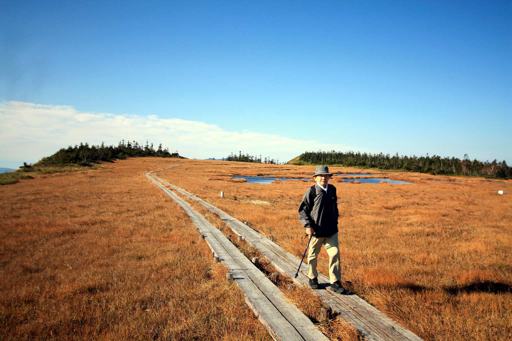 Aging Hiker Walking a Trail