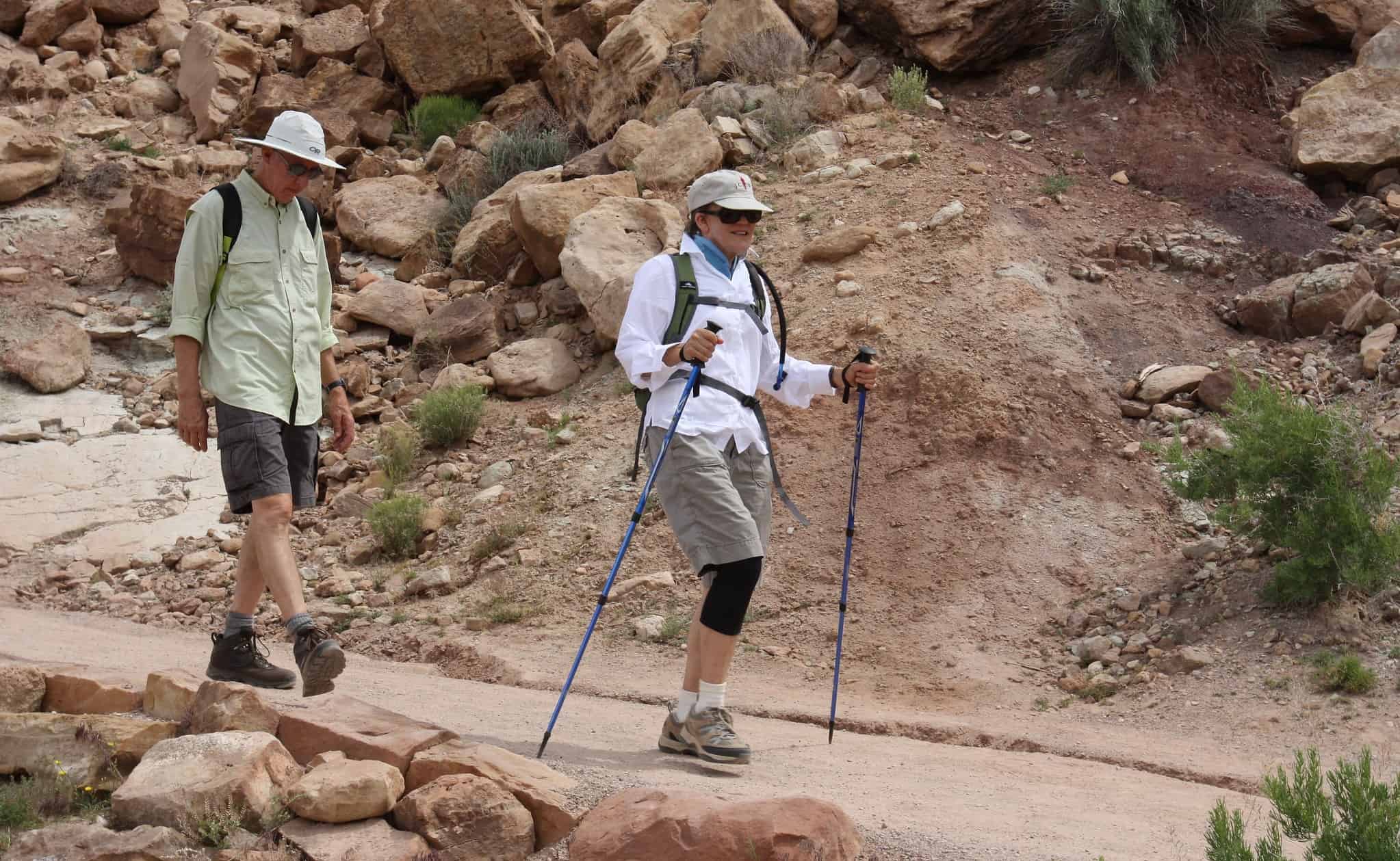 Senior Hikers Walking with Trekking Poles
