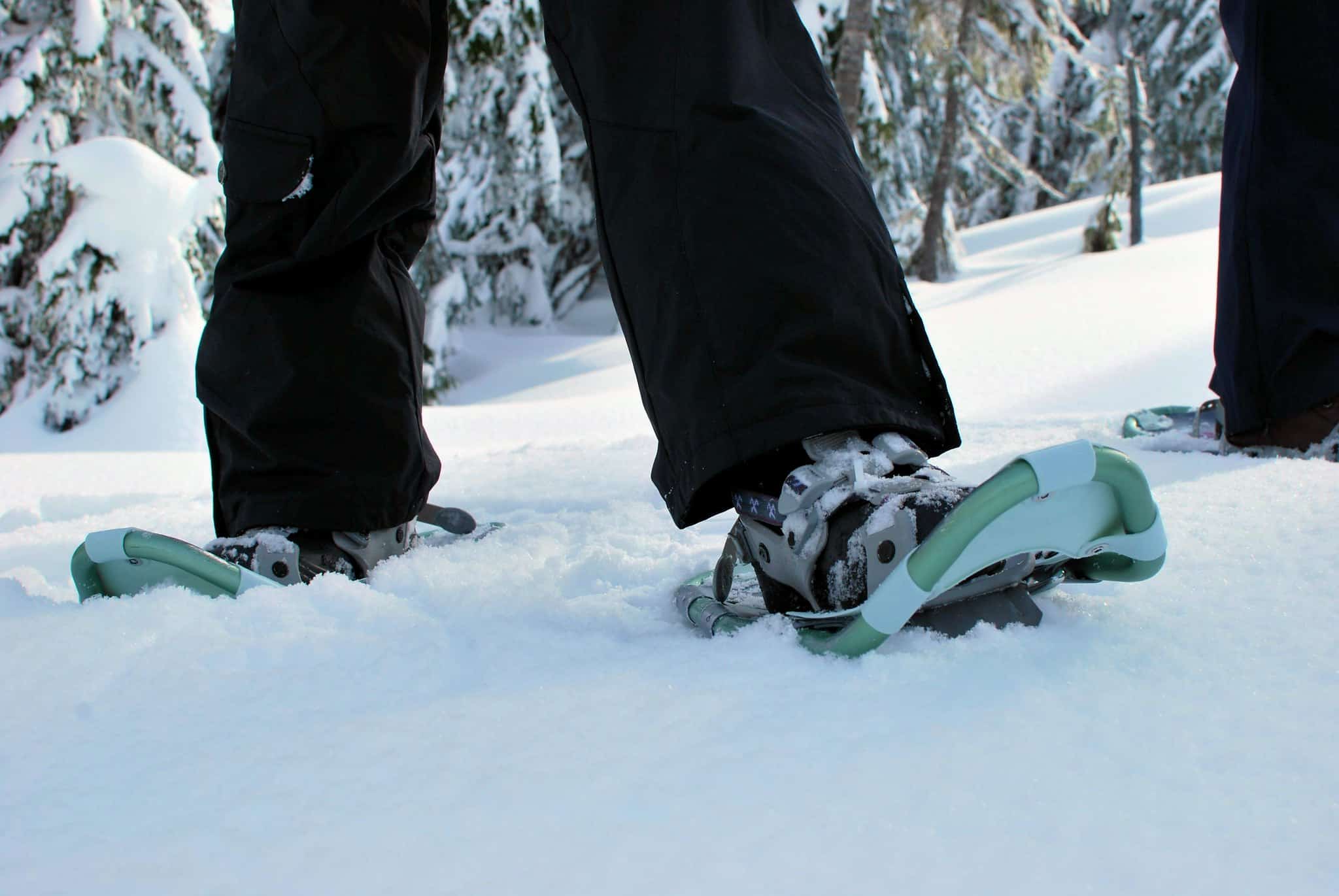 Snowshoes On Fresh Snow