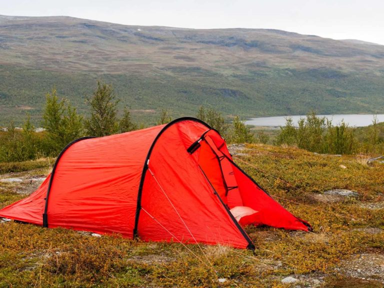 Best Tent Stakes for Rocky Soil | Secure your Camp