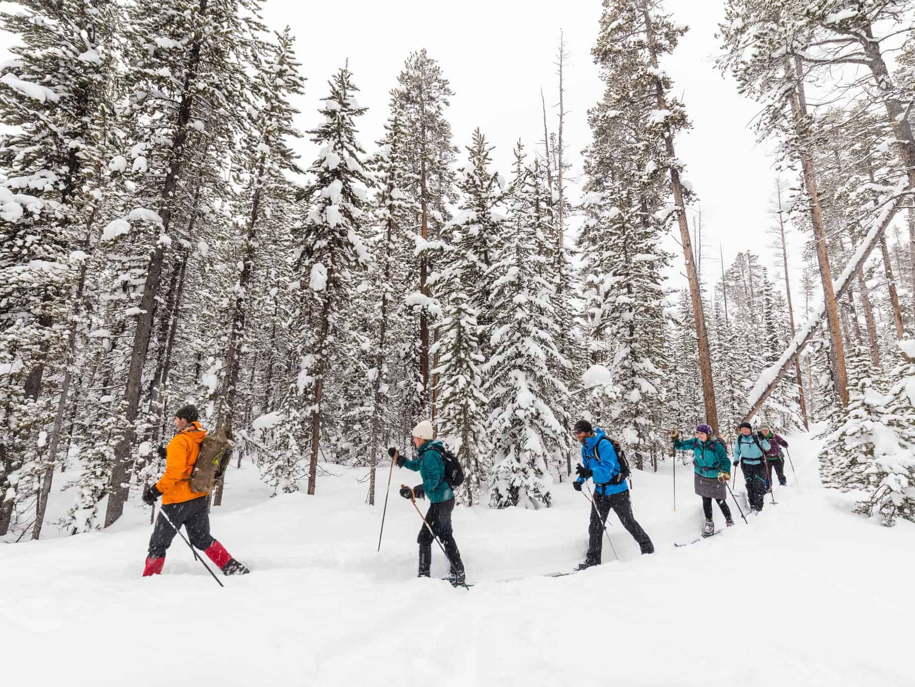 13 reasons to start cross country skiing