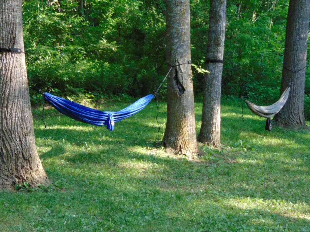 camping cot vs. hammock