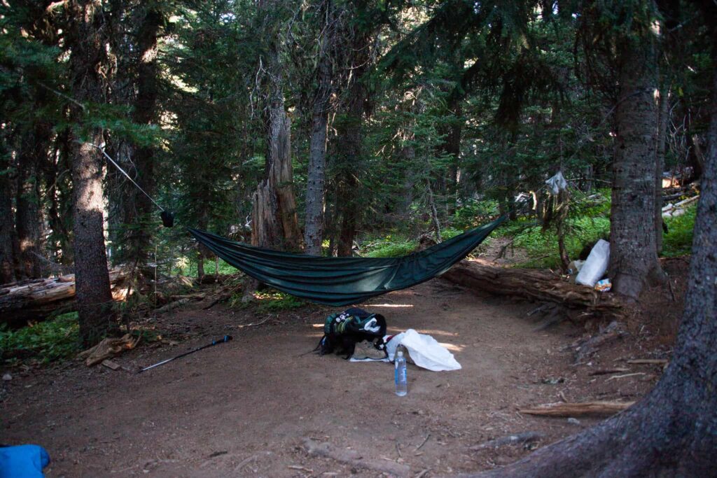 camping cot vs. hammock