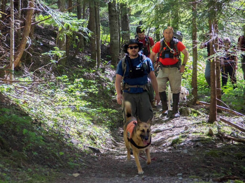 Best Dog Leashes for Hiking