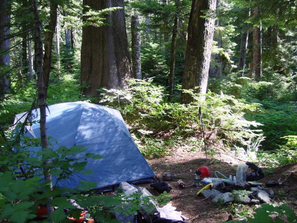 Cabin Tent vs Dome Tent